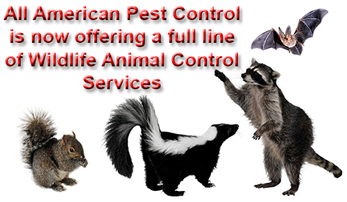 animal-control