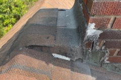 bat-services-pest-control-ph9