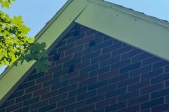 image9