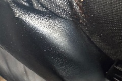 bed-bugs-pest-control-ph8